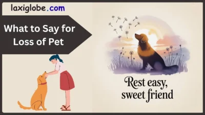 What to Say for Loss of Pet
