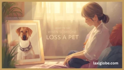 when someone loses a pet